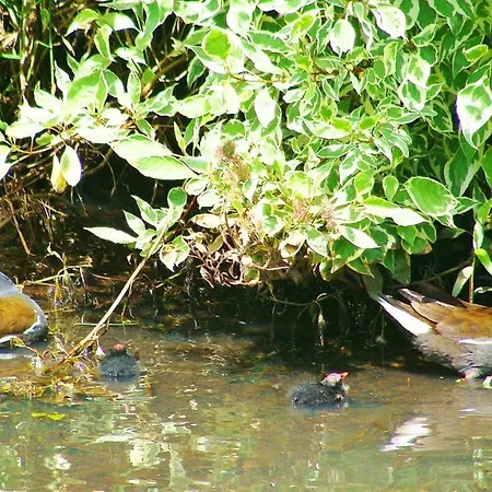 Maison Charmante Avec Piscine Partagee A *